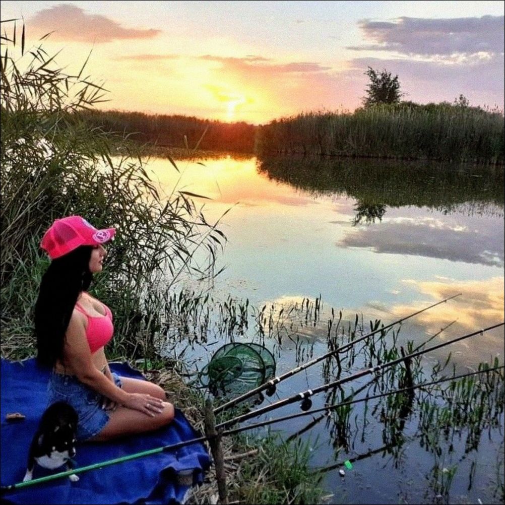 фото приколы