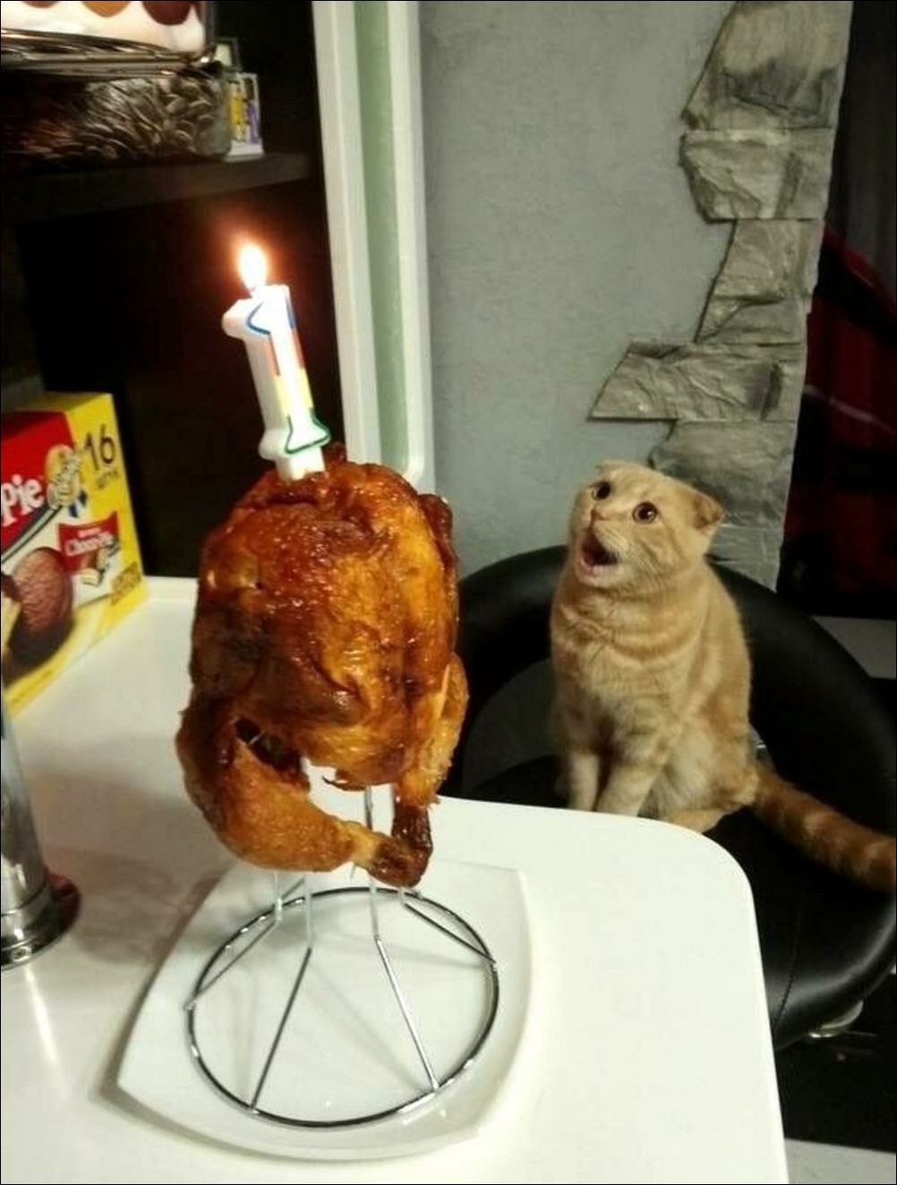 фото приколы