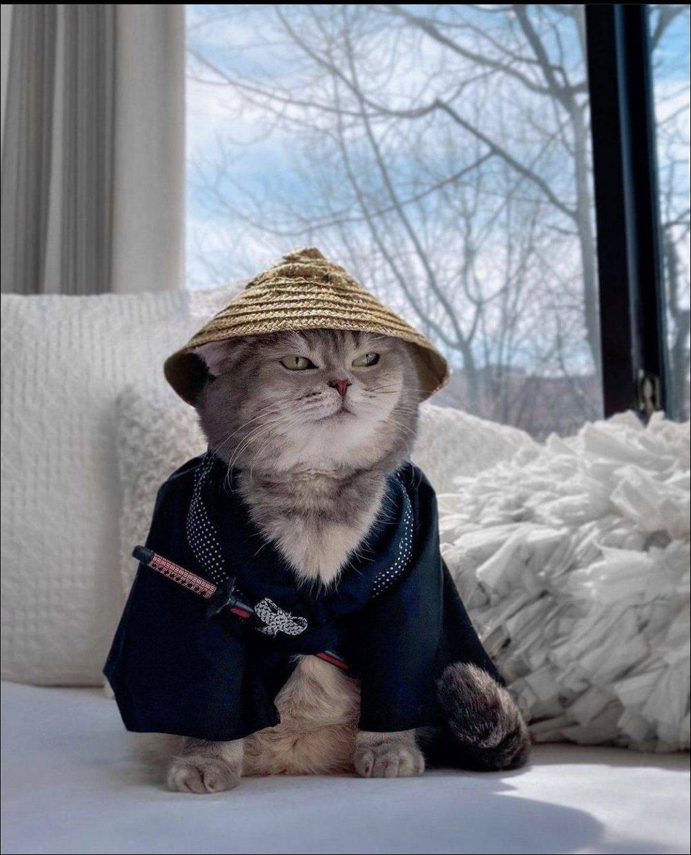 фото приколы