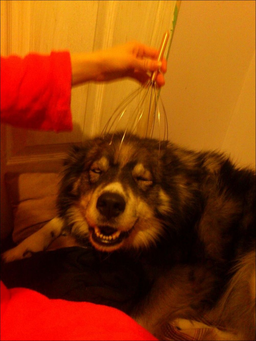 фото приколы