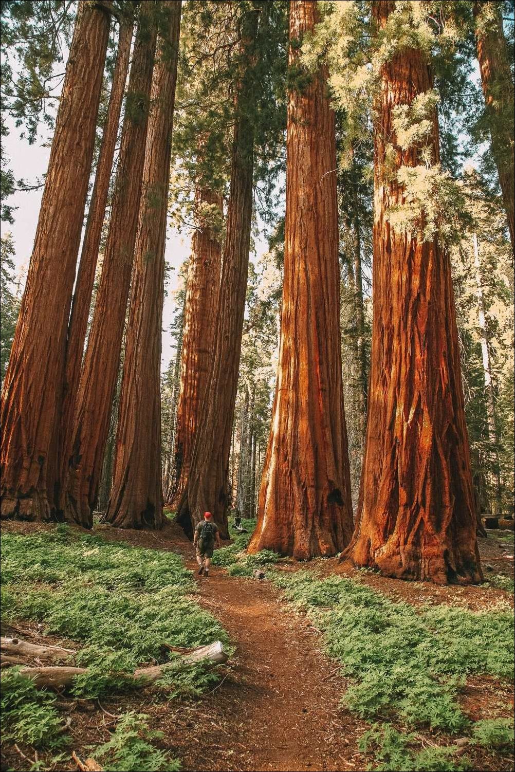 фото приколы