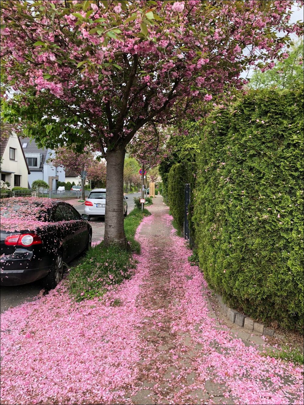 фото приколы