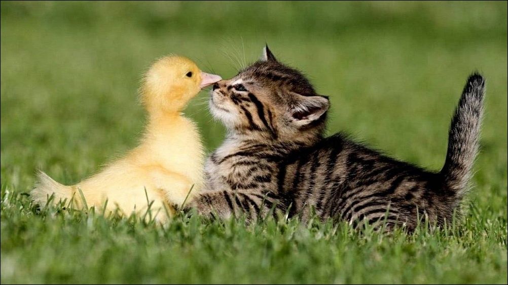 фото приколы