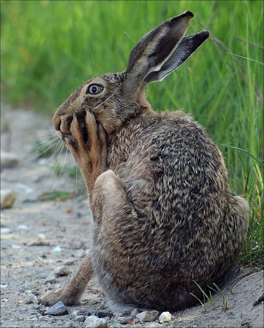 фото приколы