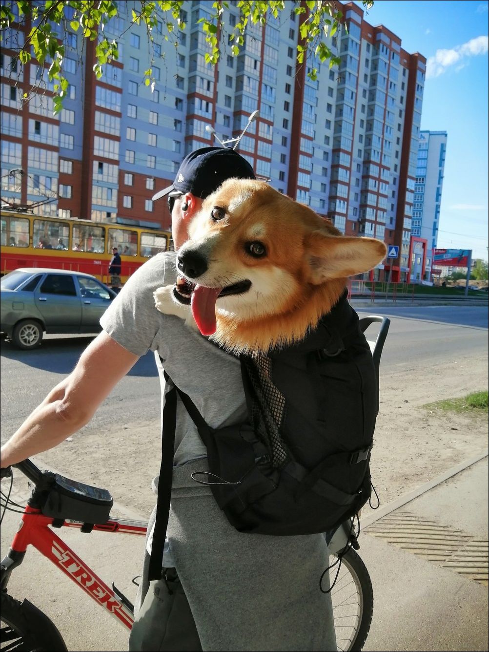 фото приколы