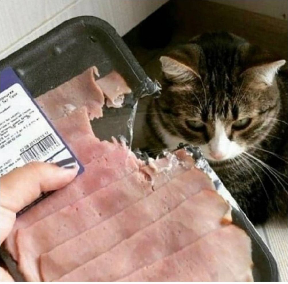 фото приколы