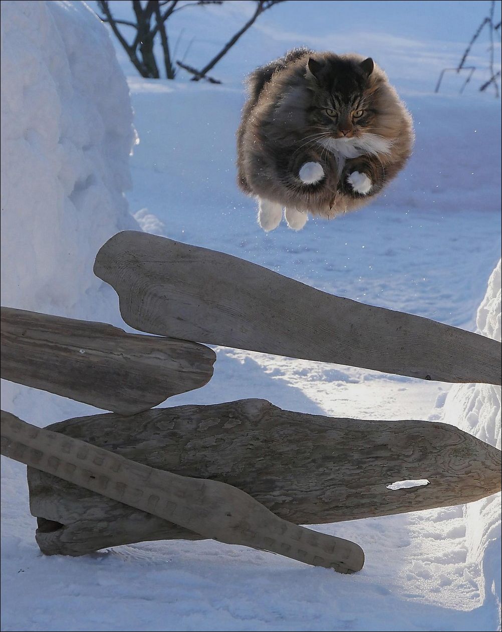 фото приколы