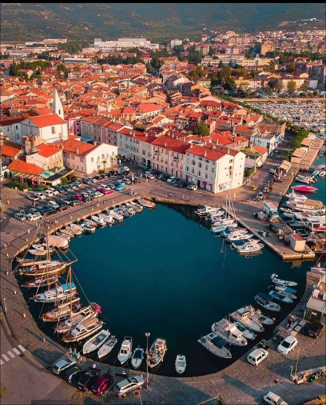 фото приколы