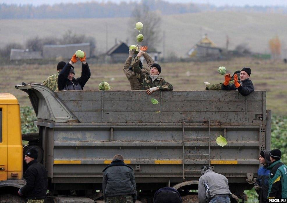 belarus-novobrantsi-na-pole-05