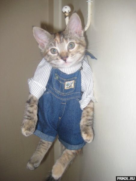 fotoprikol-13nov2009-14