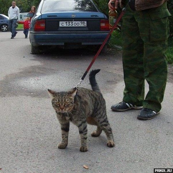 photo-prikol-201109-06