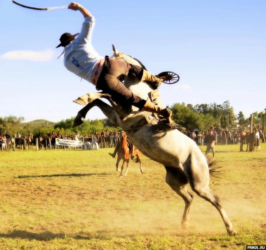 photo-prikol-201109-100