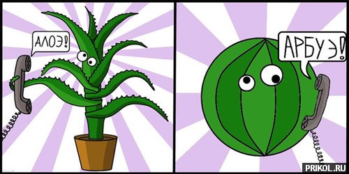 photo-prikol-201109-22
