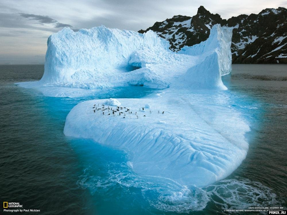 photo-prikol-201109-30