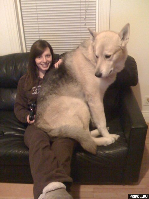 photo-prikol-201109-31