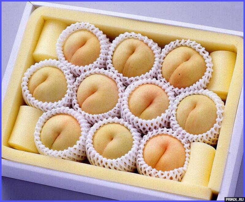 photo-prikol-201109-32