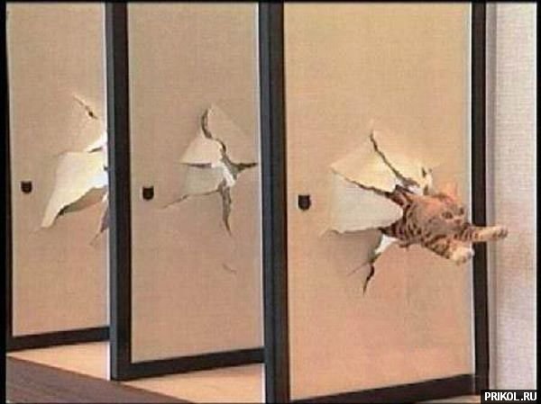 photo-prikol-201109-38