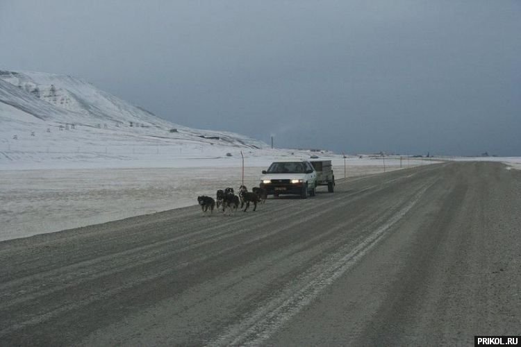 photo-prikol-201109-39