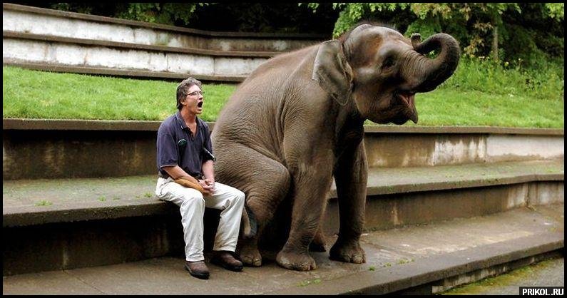 photo-prikol-201109-50