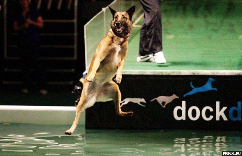 photo-prikol-201109-56