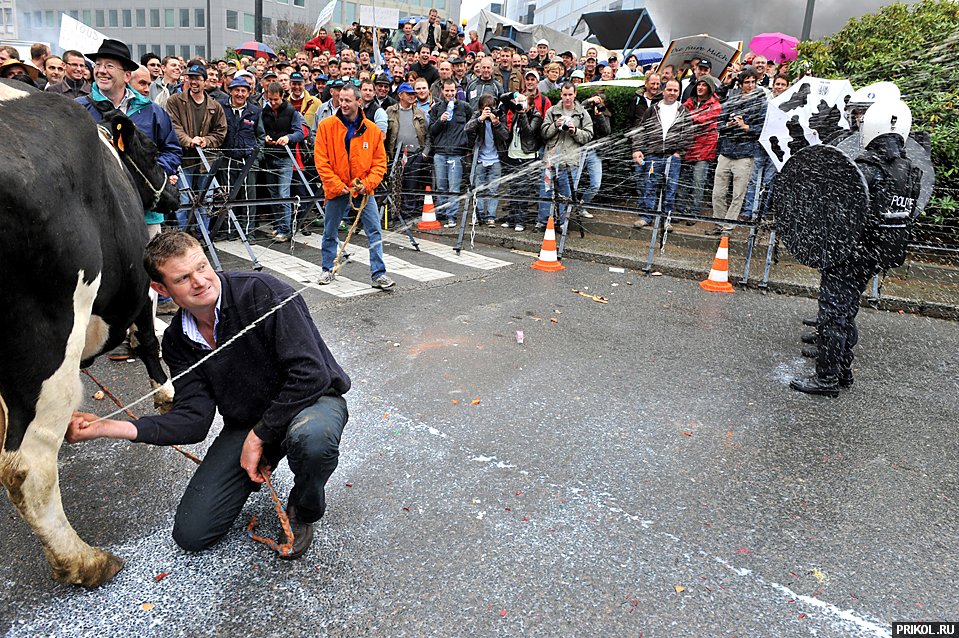 photo-prikol-201109-57