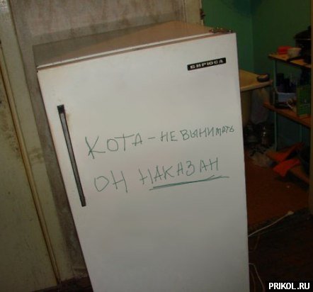 photo-prikol-201109-62