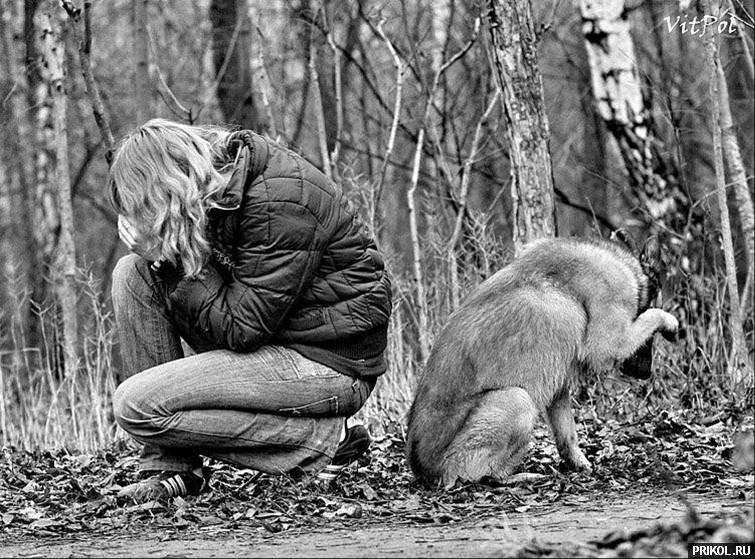 photo-prikol-201109-68