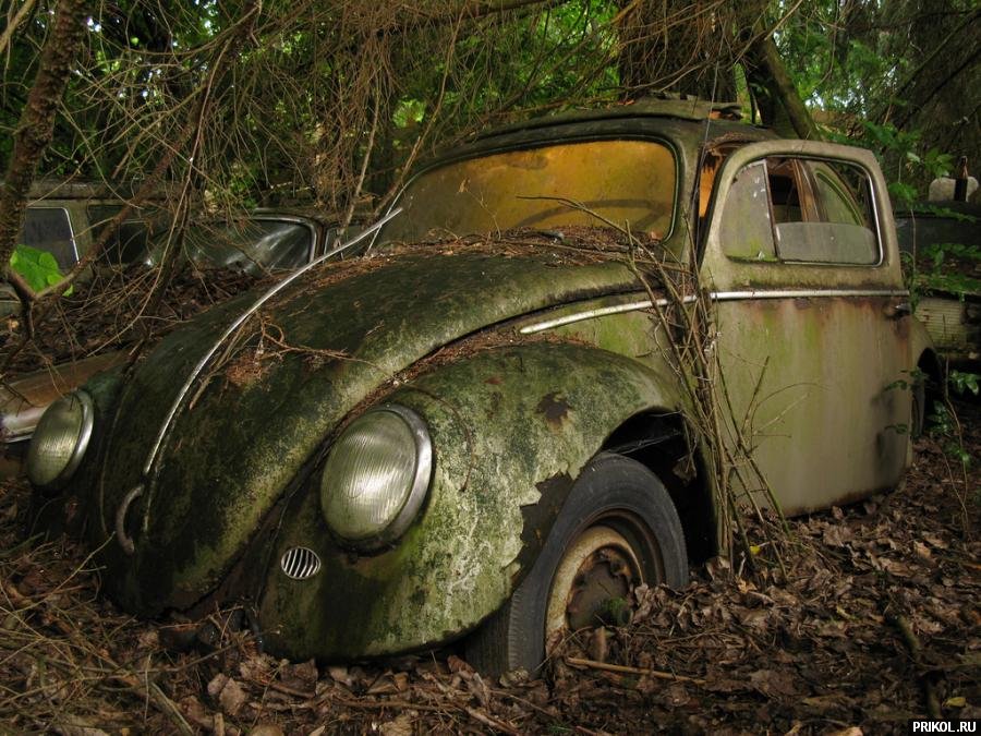 photo-prikol-201109-70