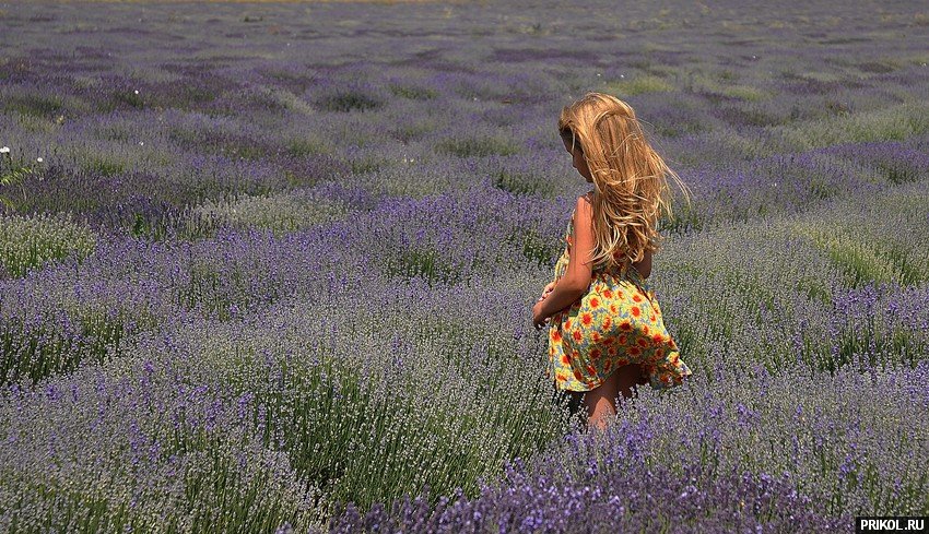 photo-prikol-201109-79