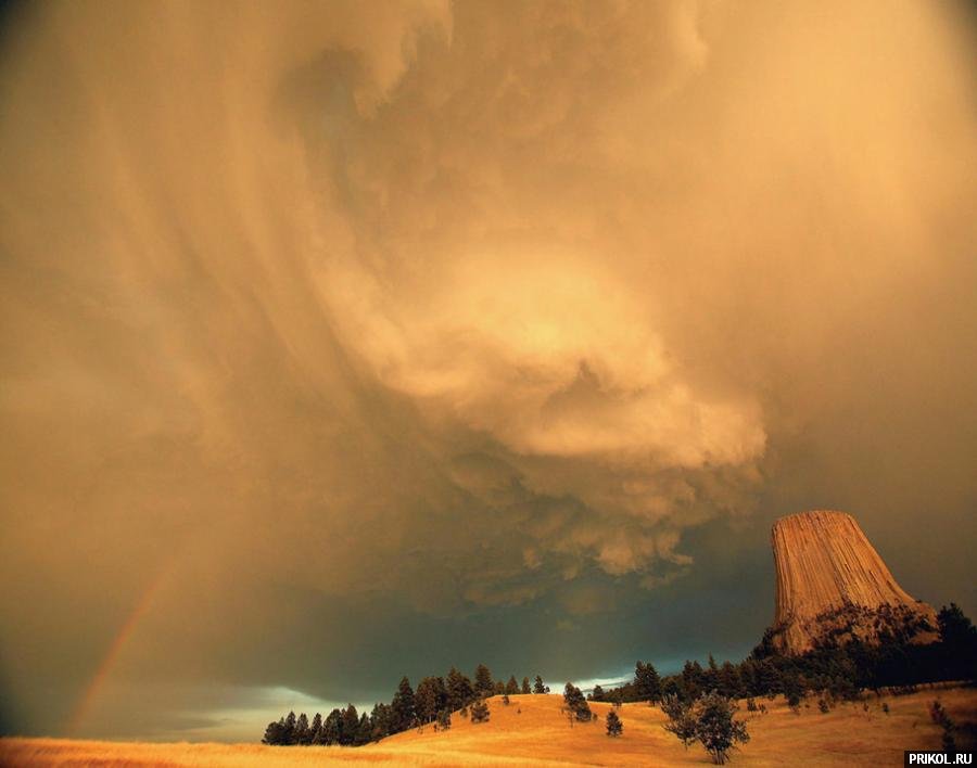 photo-prikol-201109-80