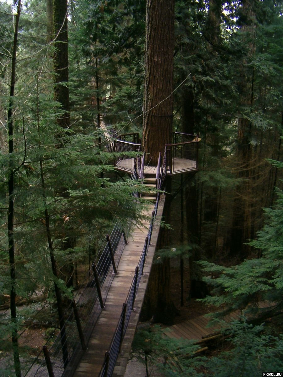 photo-prikol-201109-82