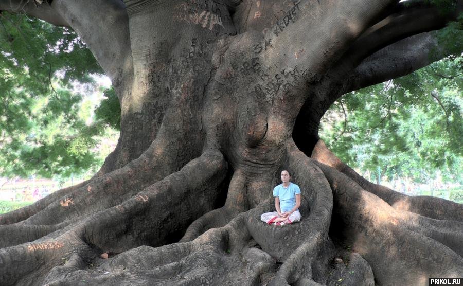 photo-prikol-201109-85