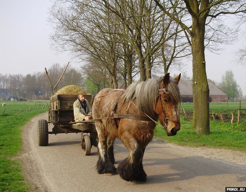 photo-prikol-201109-92