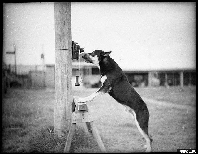 photo-prikol-201109-96