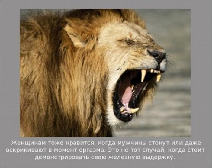 Советы для мужчин