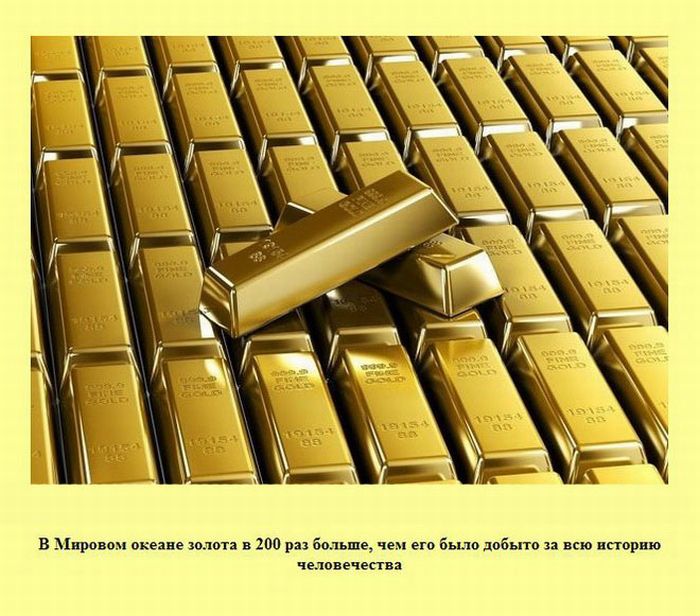 Интересные факты