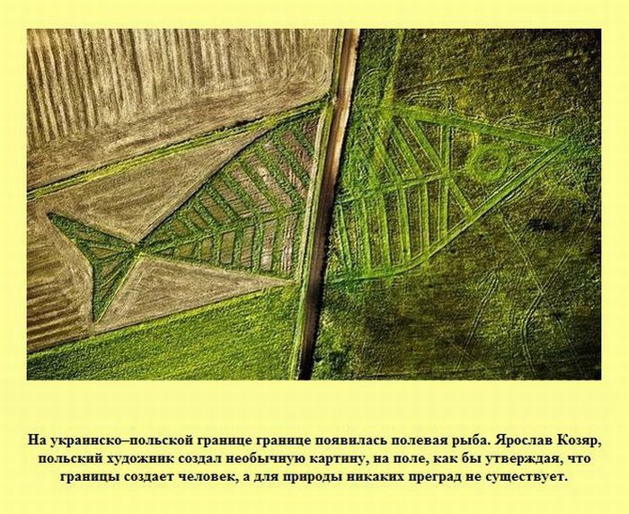 Интересные факты