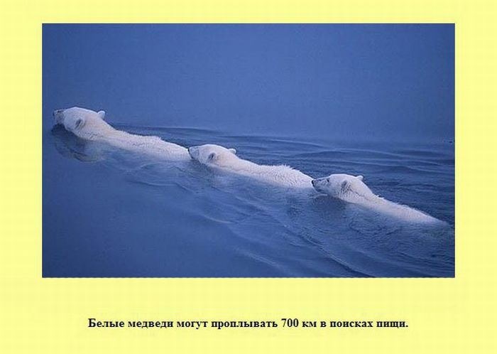 Интересные факты