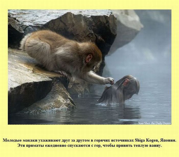 Интересные факты