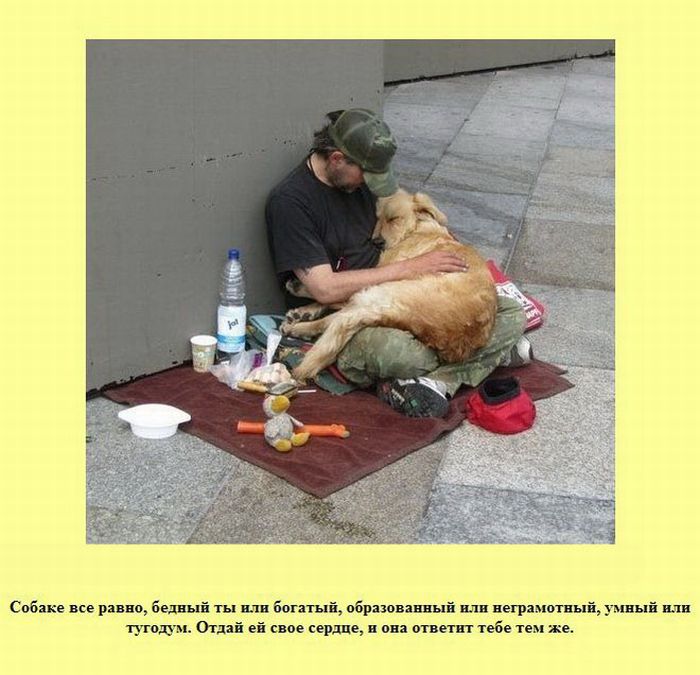 Интересные факты