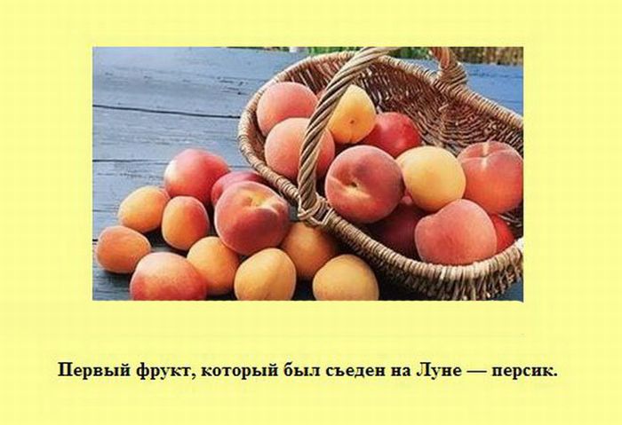 Интересные факты