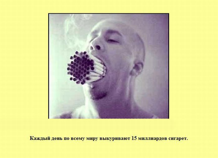 Интересные факты