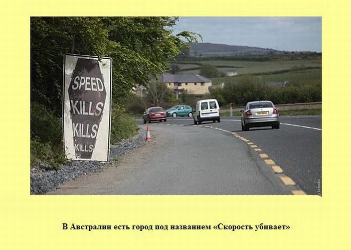 Интересные факты