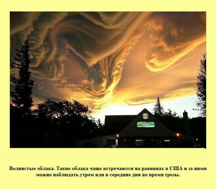 Интересные факты