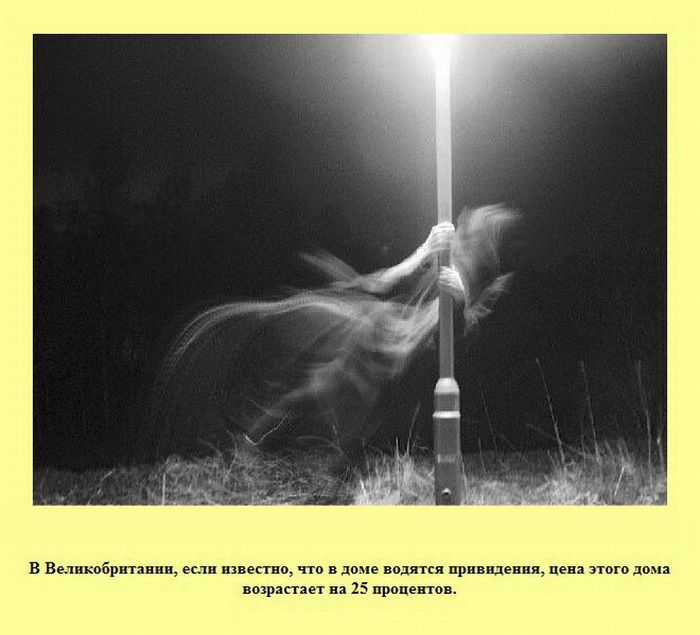 Интересные факты