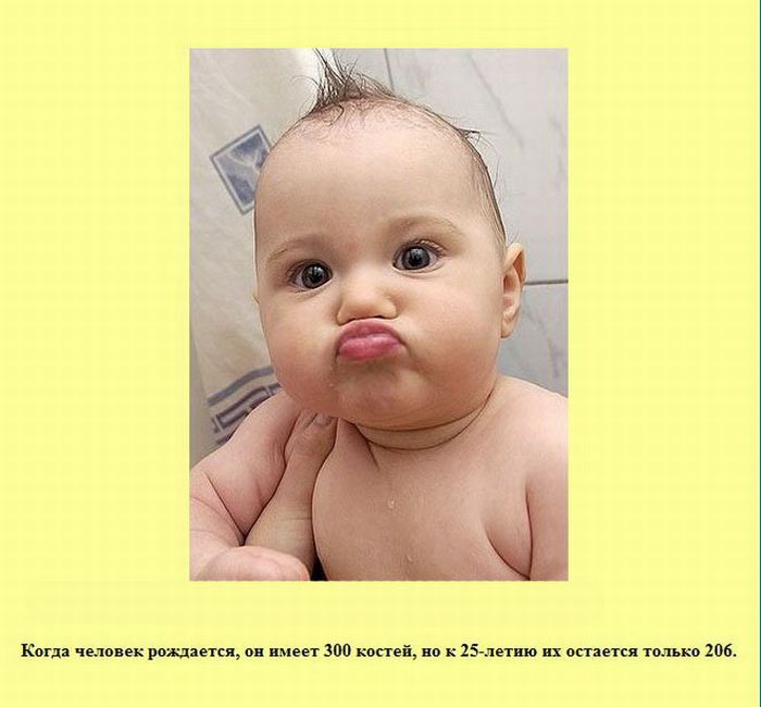 Интересные факты