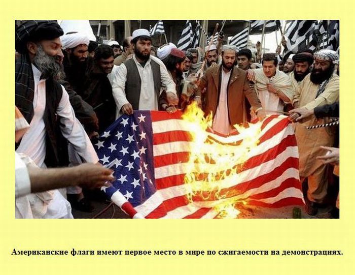 Интересные факты