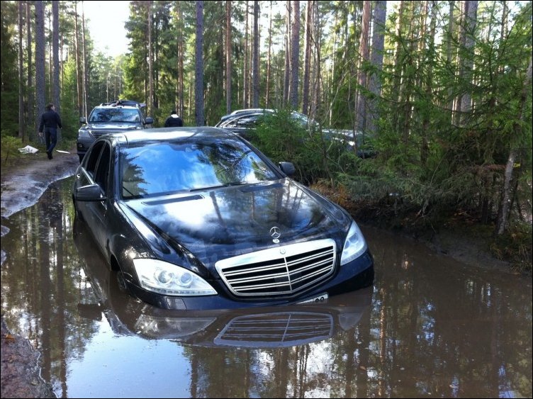 Тихо в лесу...