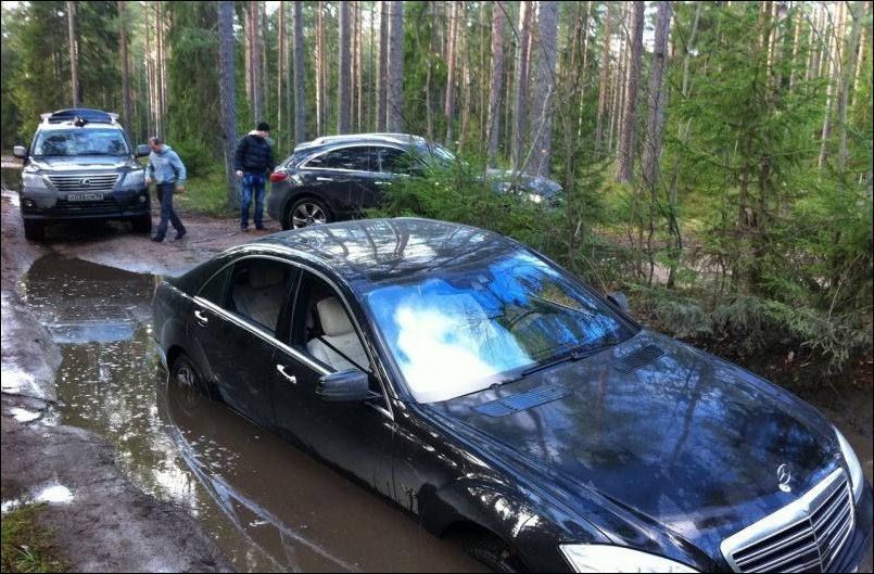 Тихо в лесу...