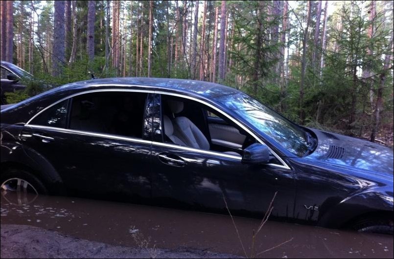 Тихо в лесу...